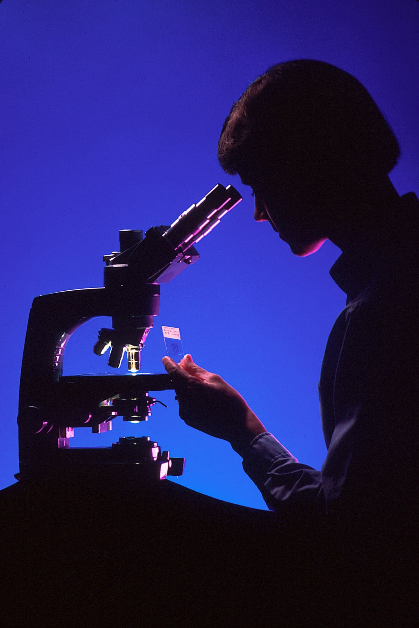Pathologist examining a slide under a microscope